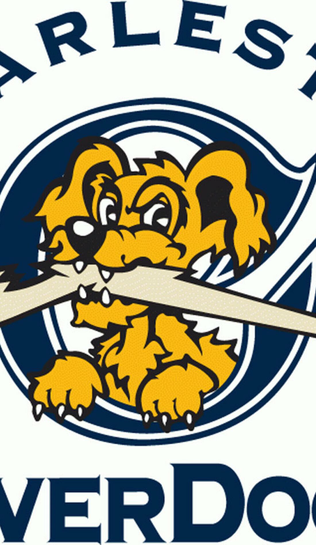 Charleston RiverDogs at Augusta GreenJackets tickets - Lake