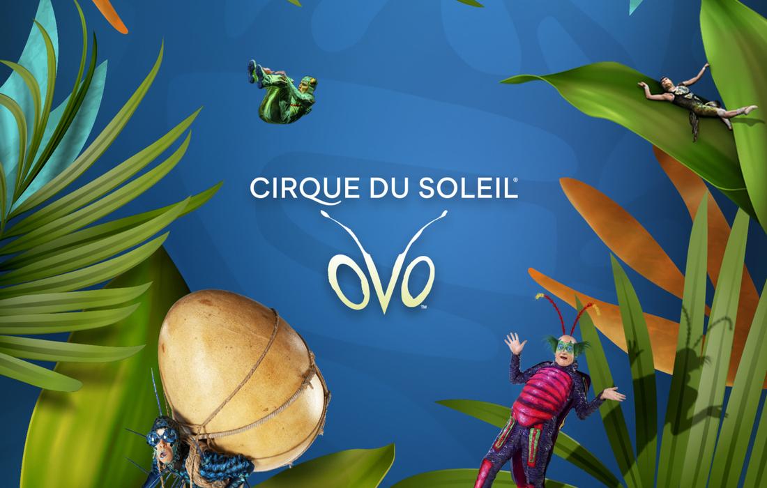 Cirque du Soleil: OVO - Hoffman Estates