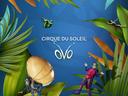 Cirque du Soleil: OVO