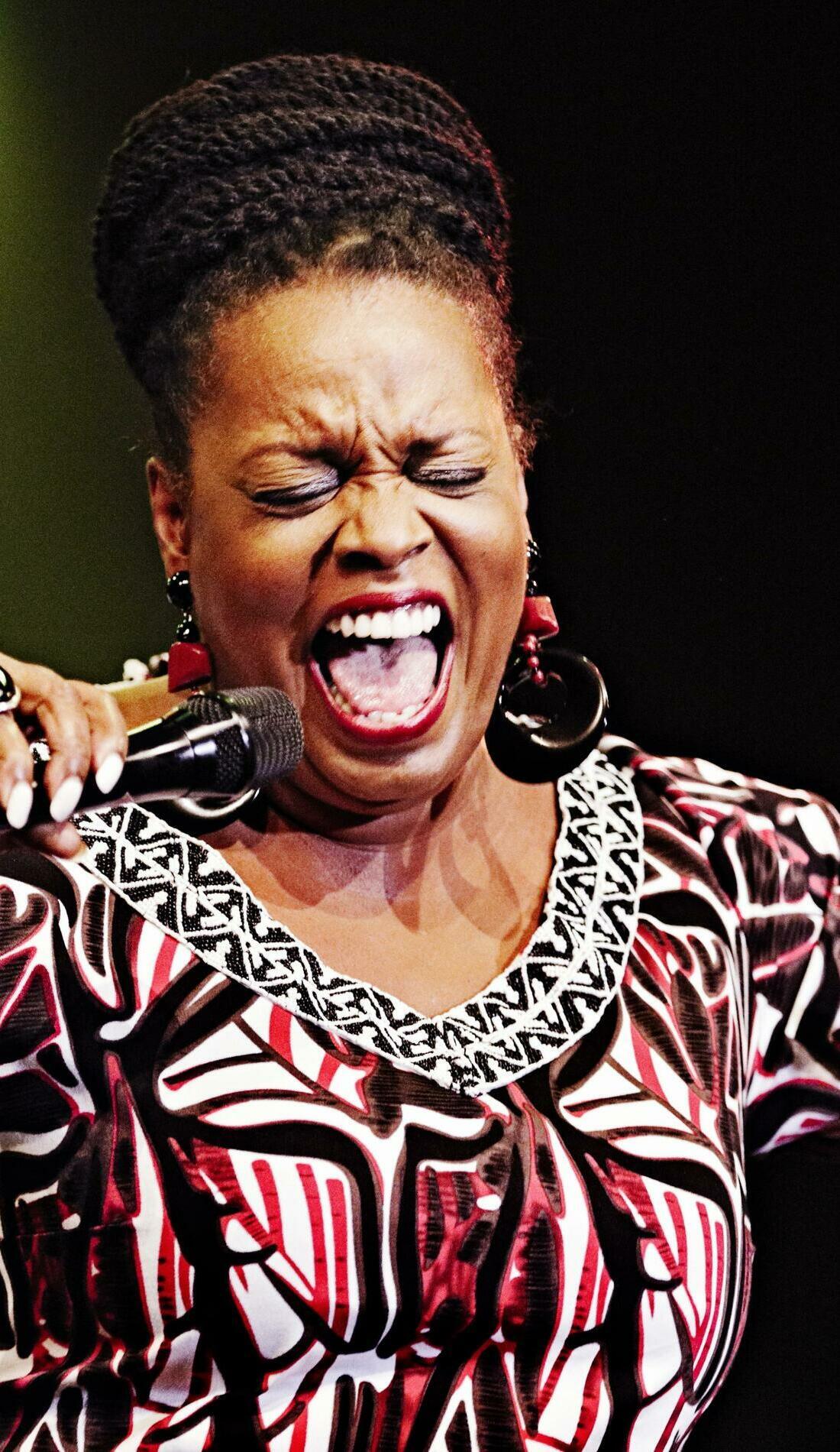 dianne reeves tour 2024