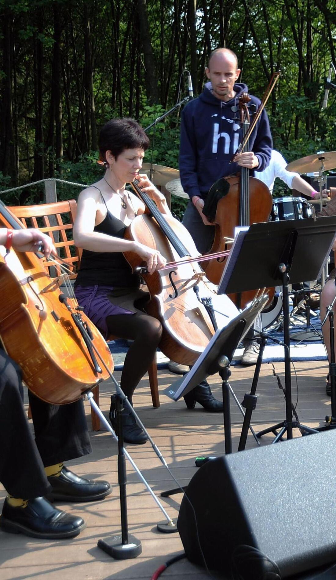 portland cello project tour