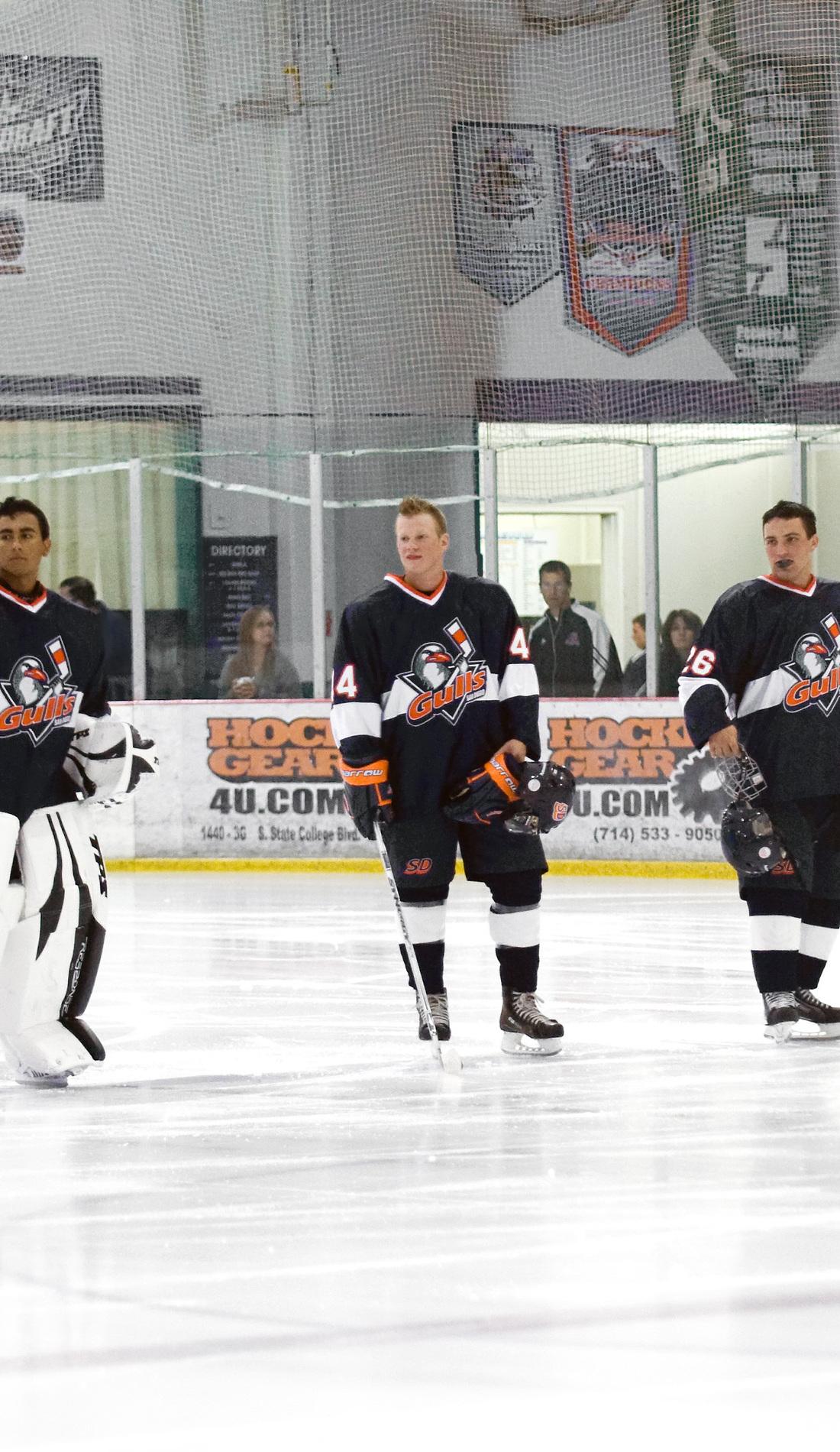 San Diego Gulls Hockey Club Home