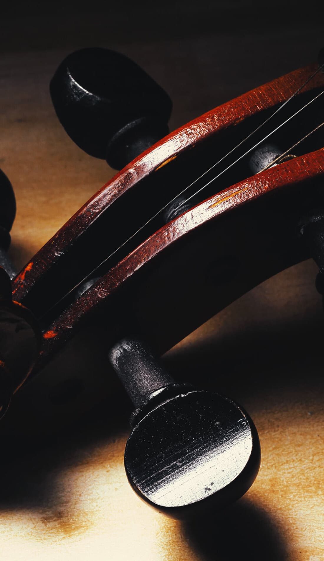 Yuletide Celebration Tickets, 2024 Showtimes & Locations SeatGeek