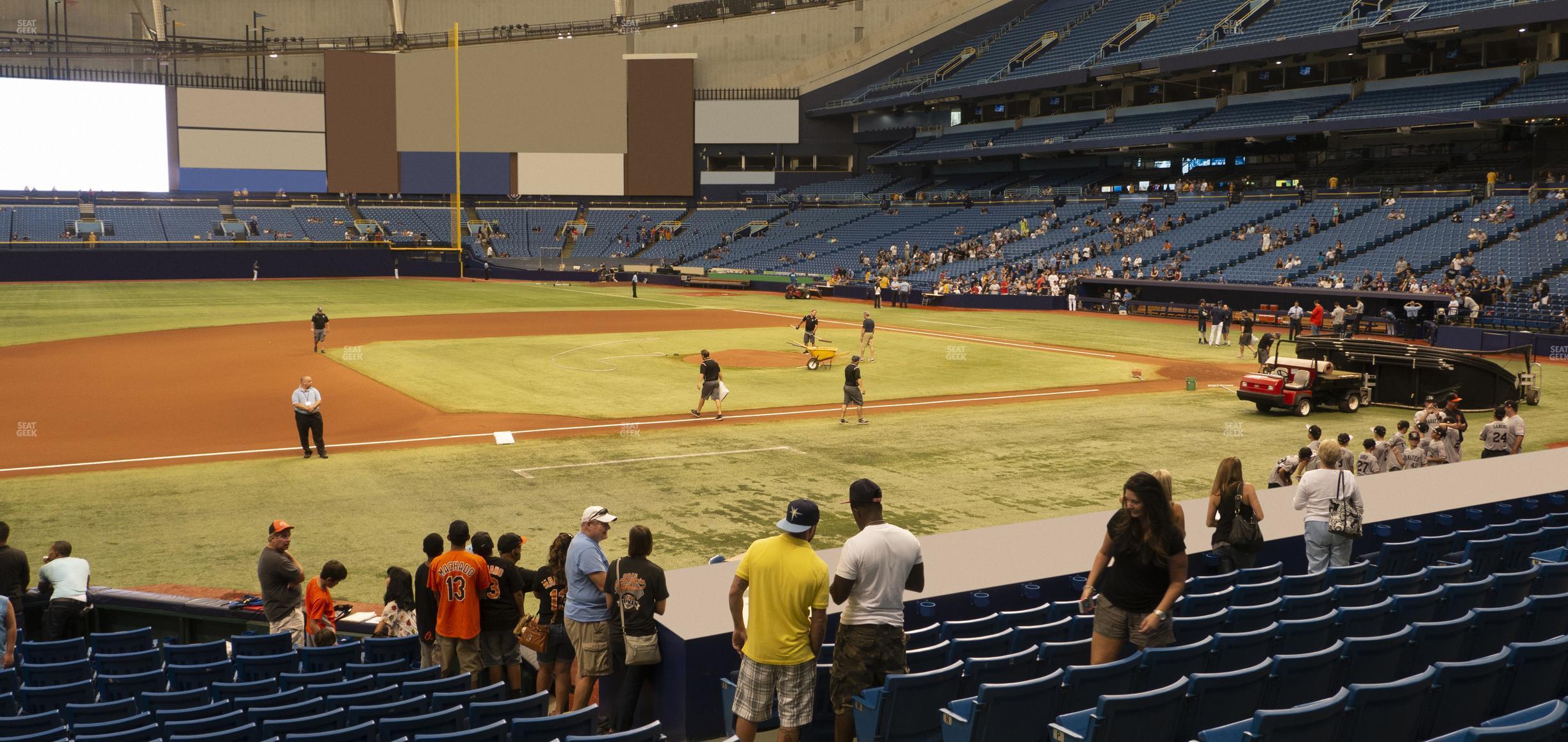 Seating view for Tropicana Field Section 119