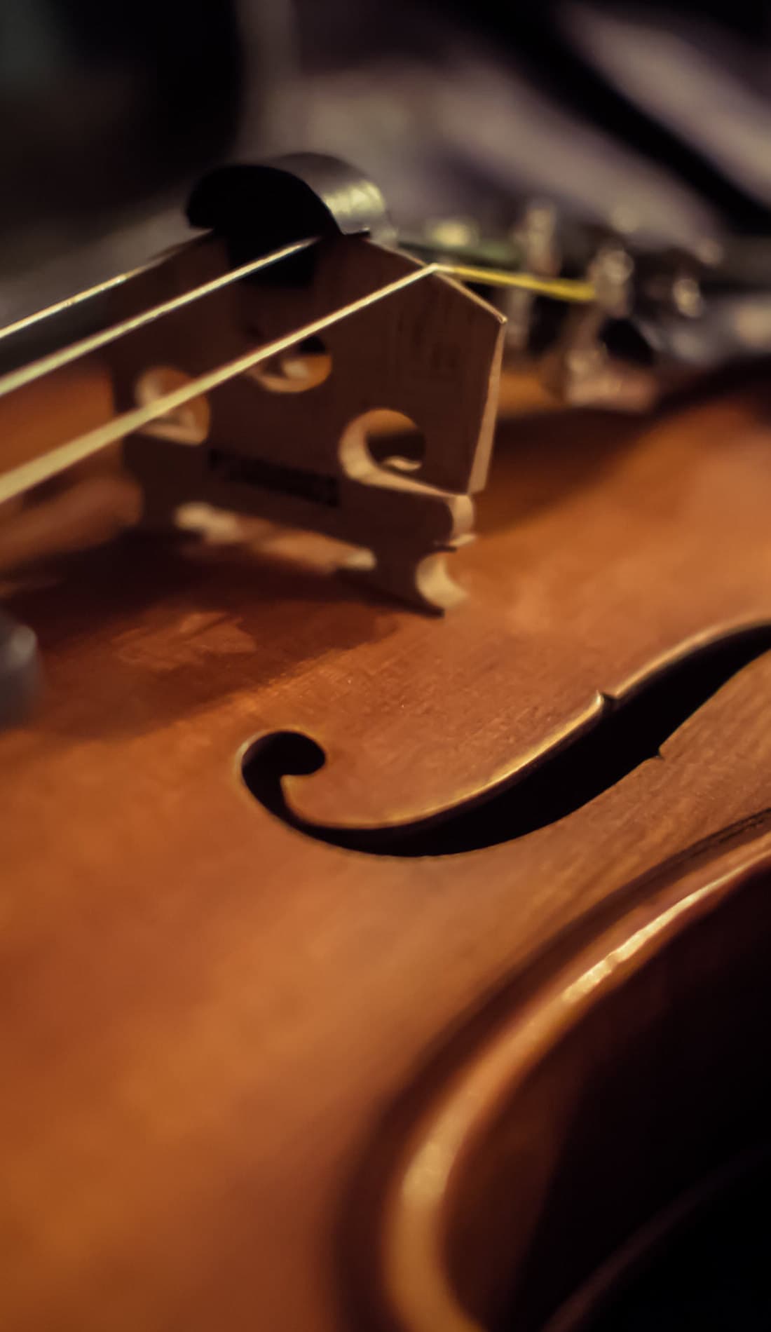 Stardew Valley Festival of Seasons Parking Passes SeatGeek