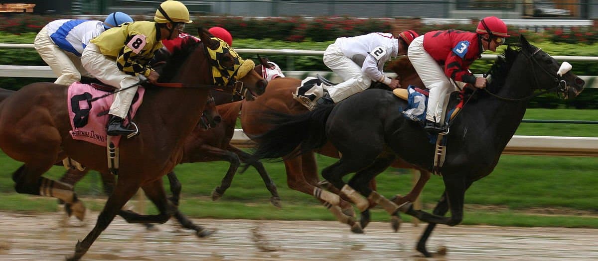 Thanksgiving greetings friends Thanksgiving greetings friends