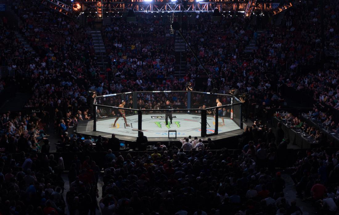 UFC 295 - Jones vs Miocic