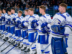 Lindenwood Lions at Air Force Falcons Mens Hockey