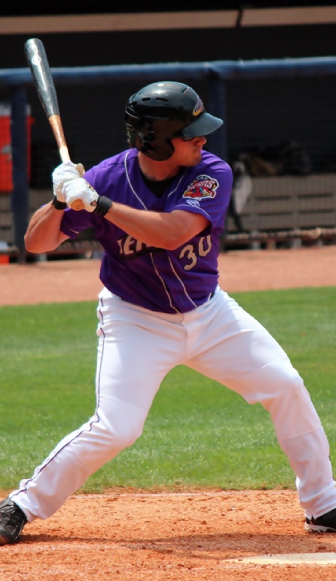 A Akron RubberDucks live event