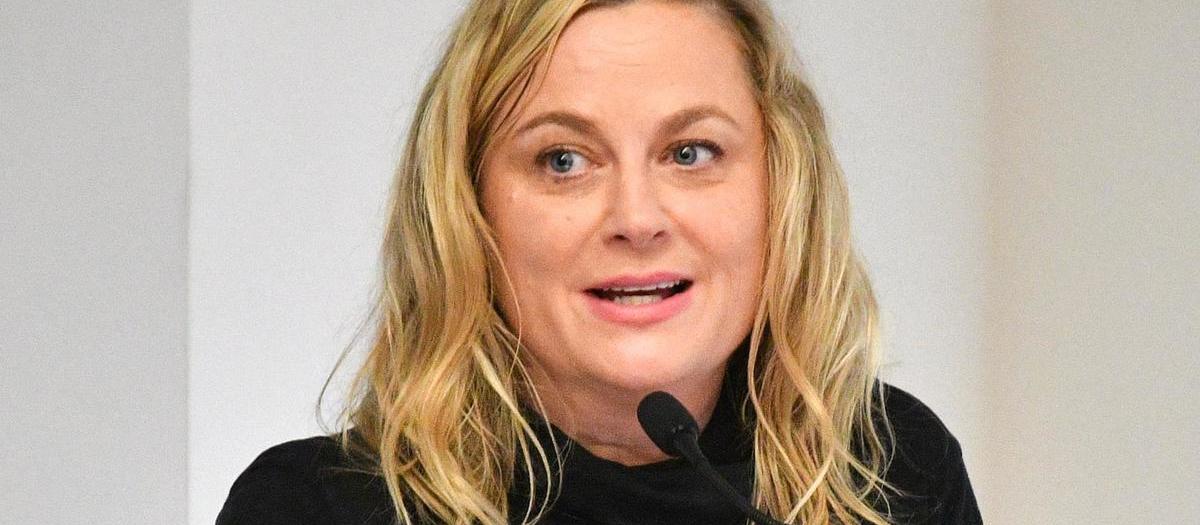 Amy Poehler Tickets, 20232024 Showtimes & Locations SeatGeek