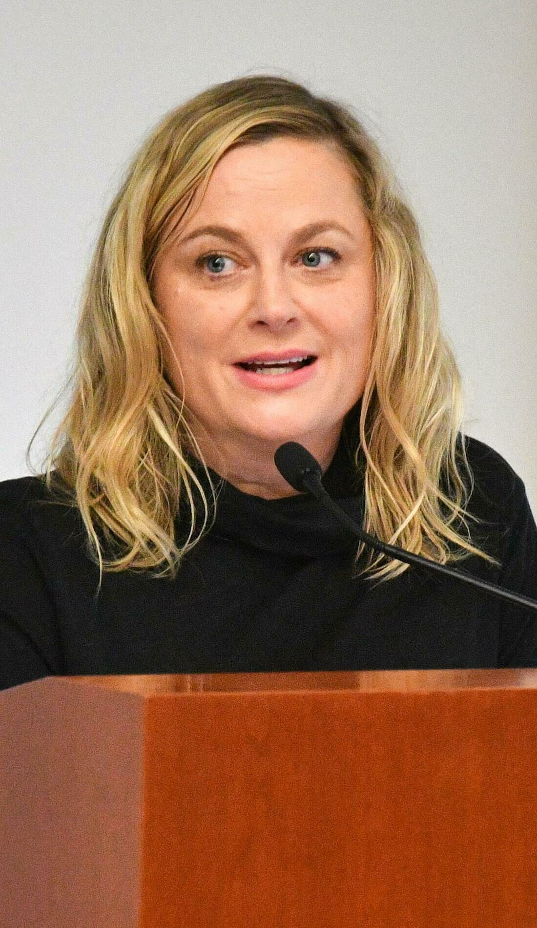 A Amy Poehler live event