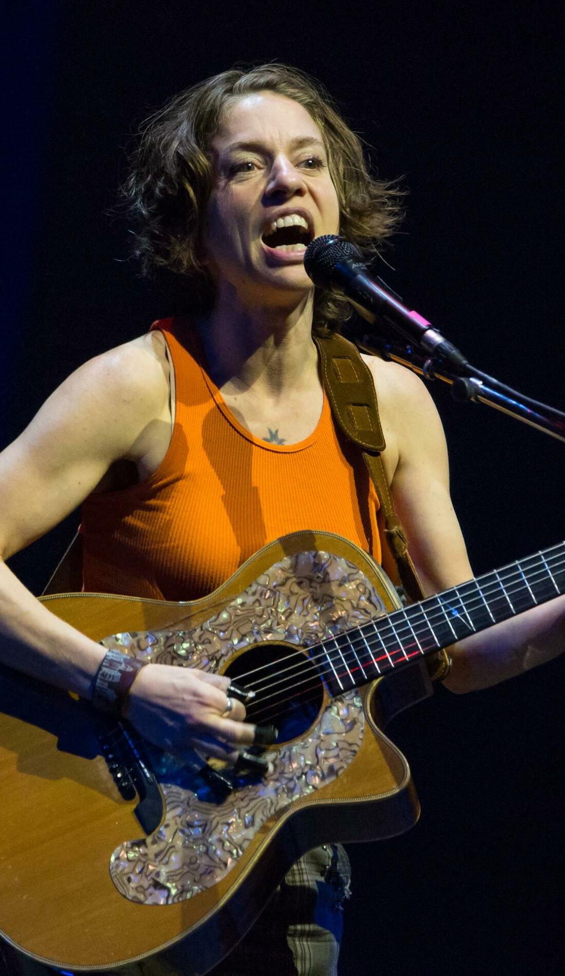 Ani DiFranco Concert Tickets and Tour Dates SeatGeek