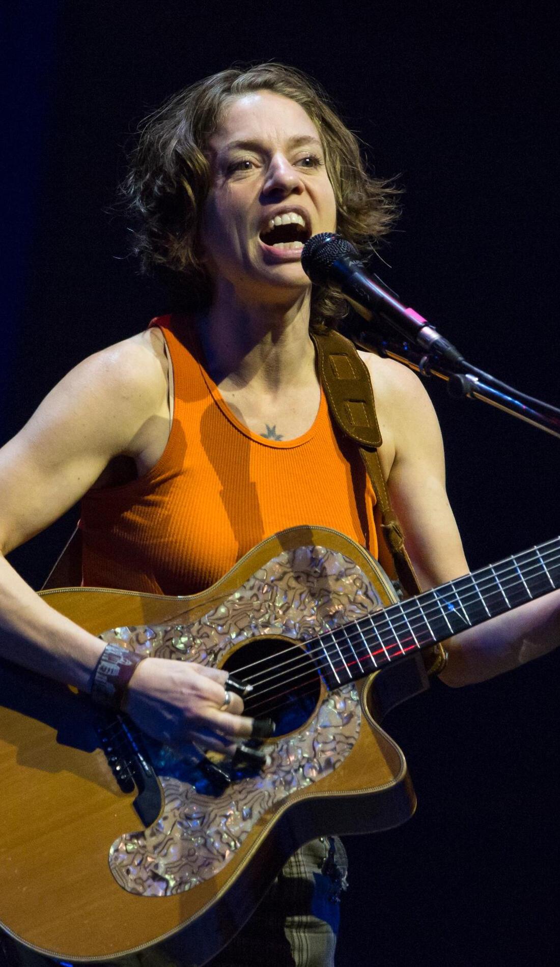 Ani DiFranco Tickets - 2022 Ani DiFranco Concert Tour | SeatGeek