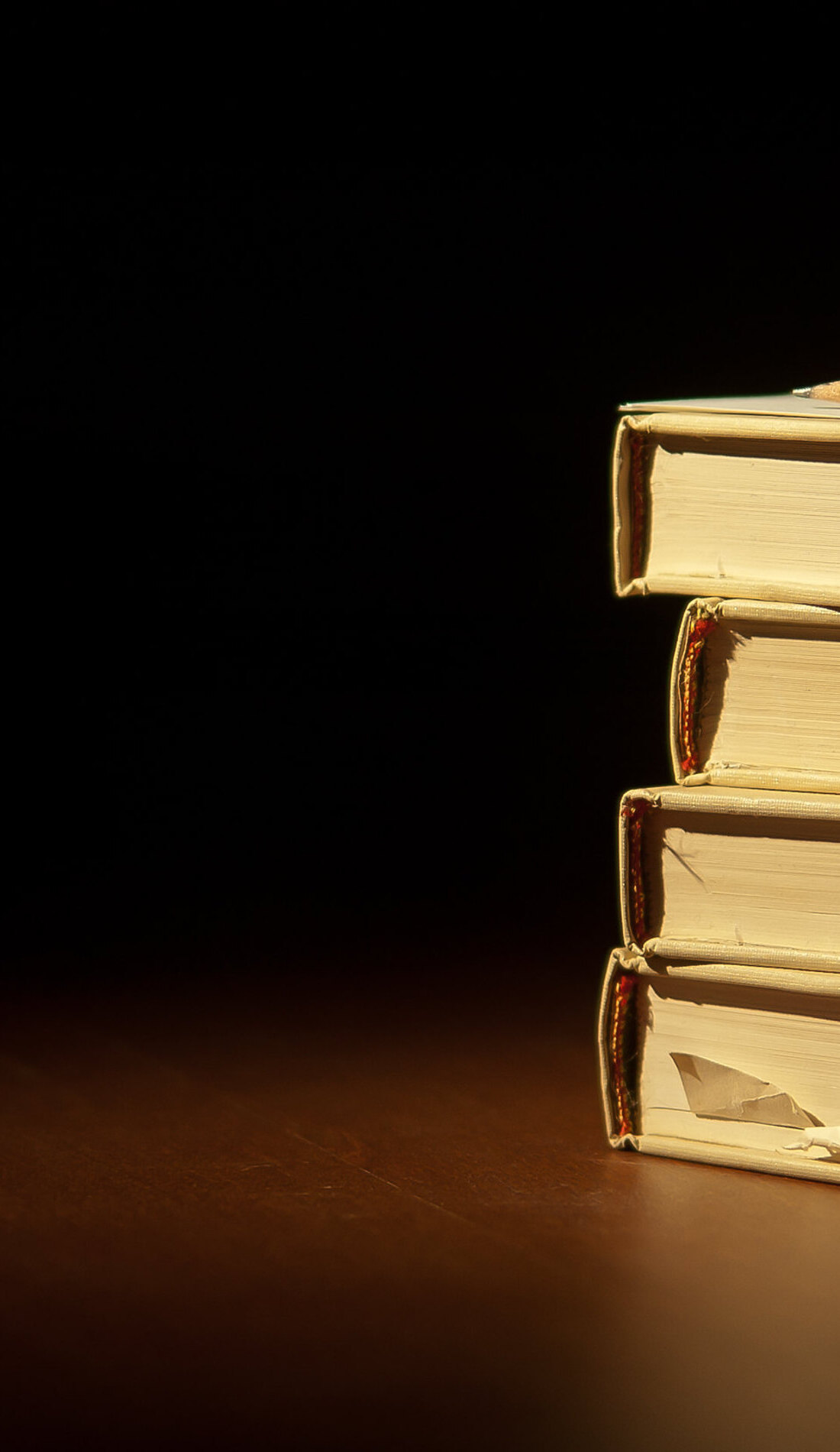 A Anne Lamott live event