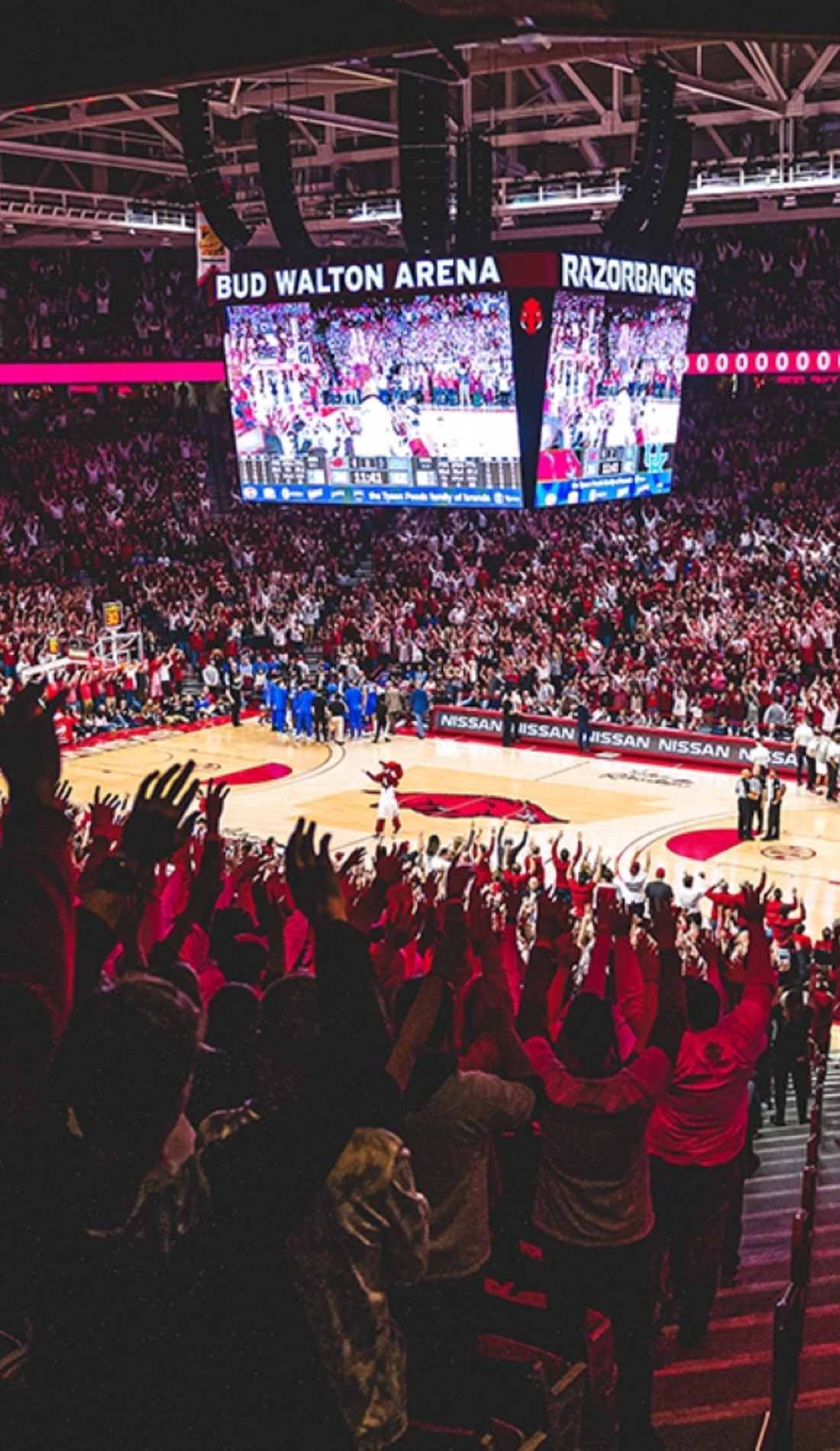 A Arkansas Razorbacks Basketball live event