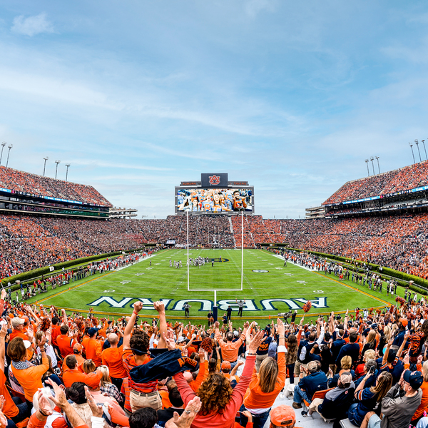 Jordan Hare Stadium Seating Chart With Rows And Seat Numbers | Cabinets