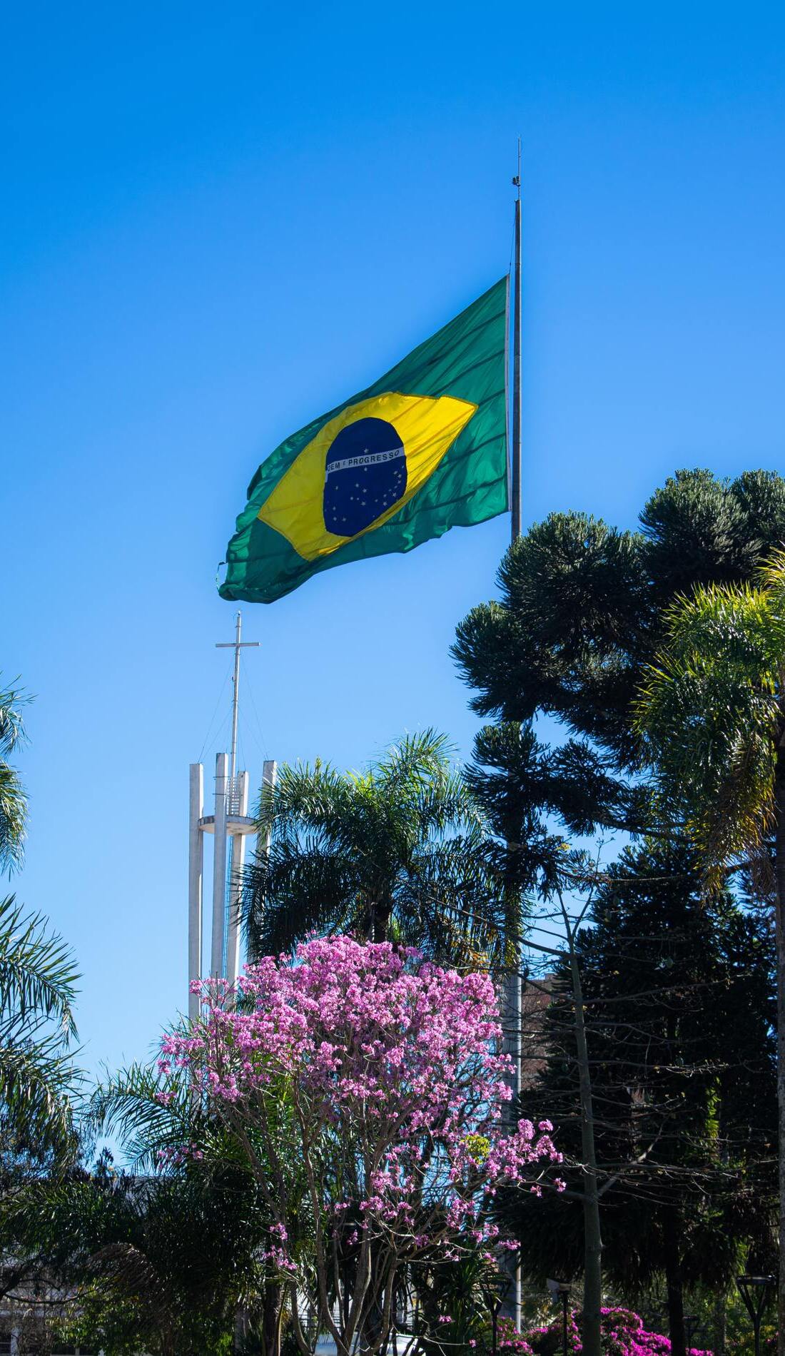 A Brazil live event
