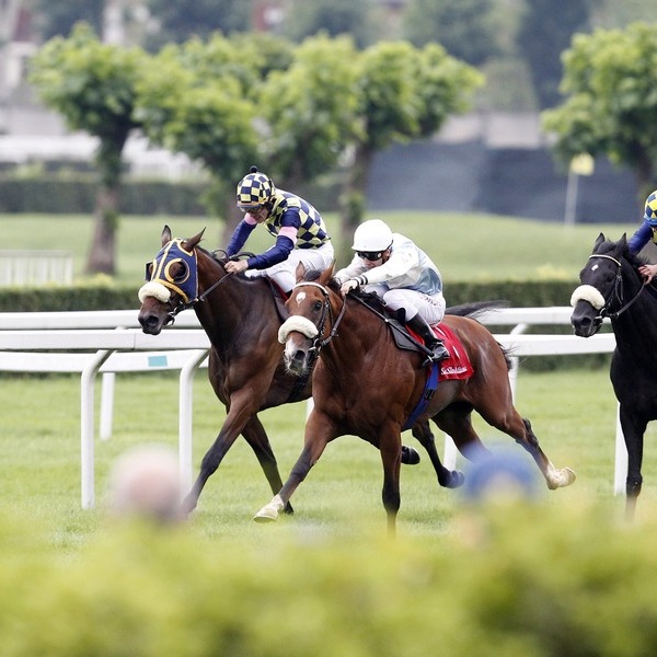 Breeders Cup Friday Tickets in Del Mar (Del Mar Fairgrounds) Nov 1