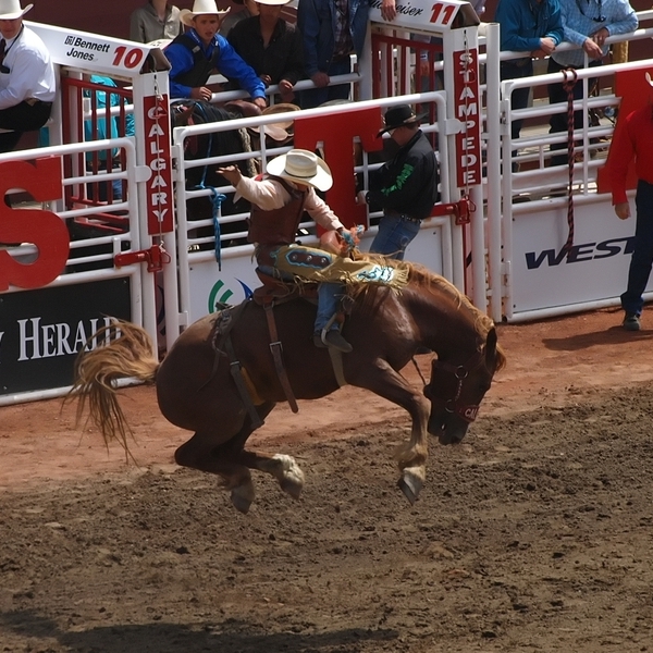 Calgary Stampede Rodeo Day Show Tickets in Calgary (GMC Stadium