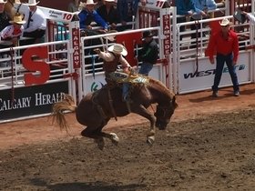 Calgary Stampede Rodeo - Day Show
