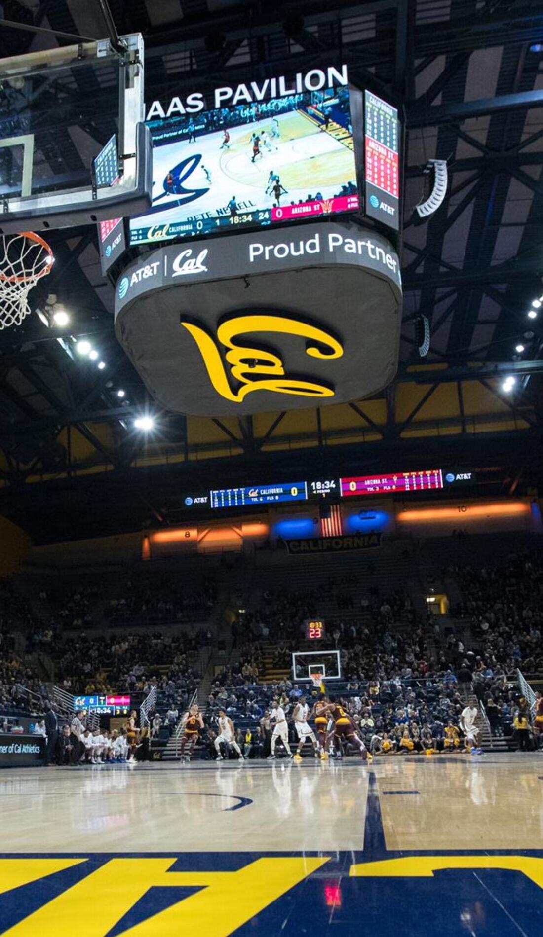 A California Golden Bears Basketball live event