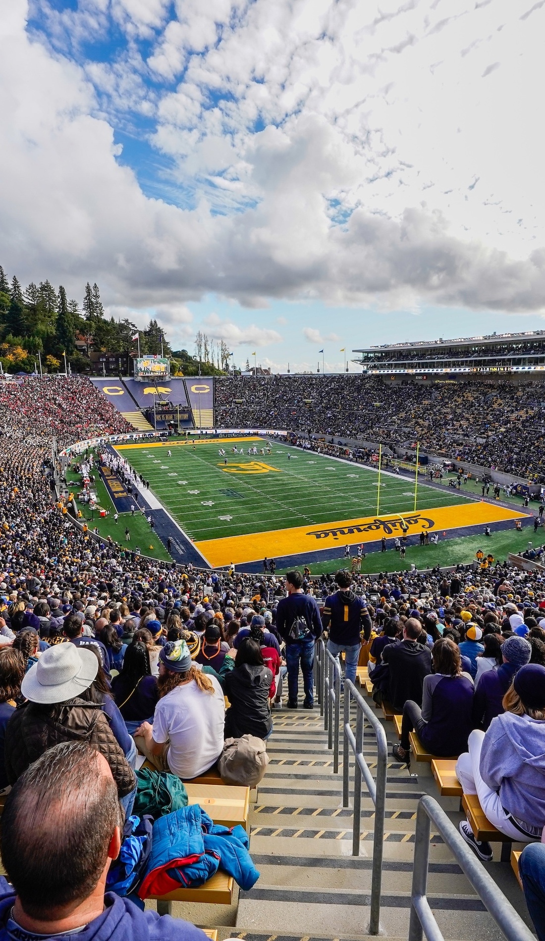 California Golden Bears Football Tickets 2023 California Games SeatGeek