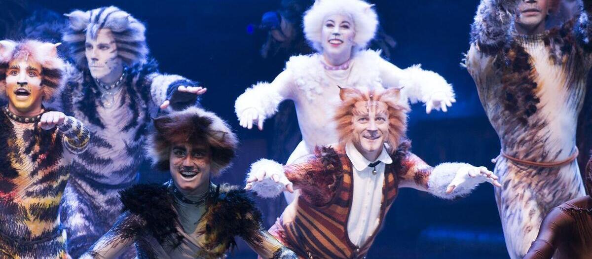 Cats Tickets