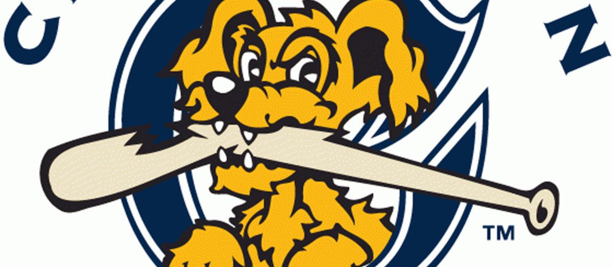 Charleston RiverDogs get exotic with menu - ESPN - Fandom