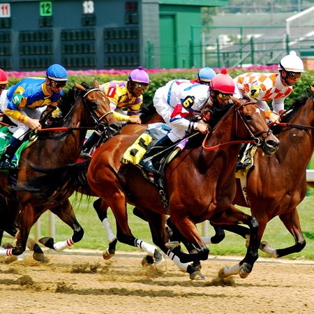 Churchill Downs Seating Chart Map Seatgeek