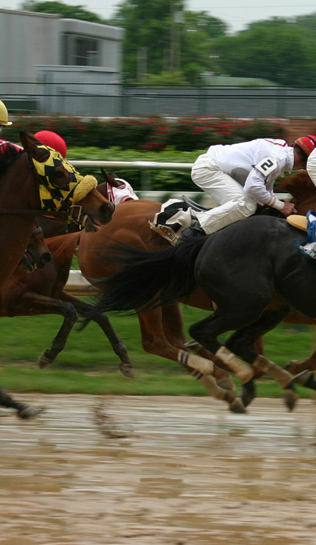 A Churchill Downs Spring Racing live event