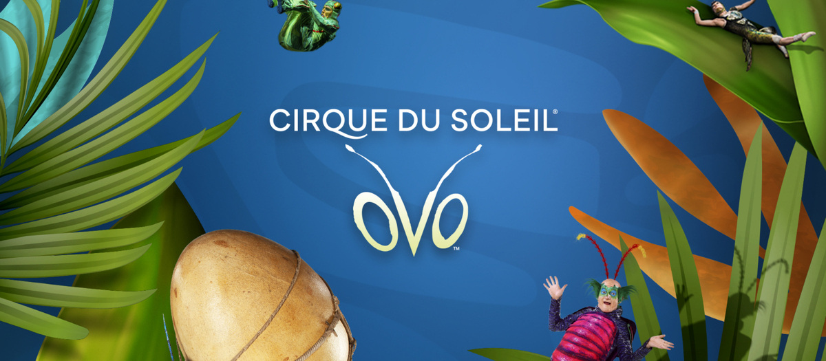 Cirque du Soleil - Ovo Tickets