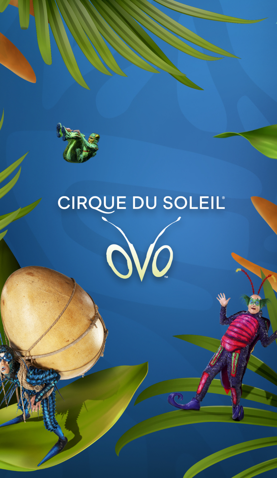 A Cirque du Soleil: Ovo live event