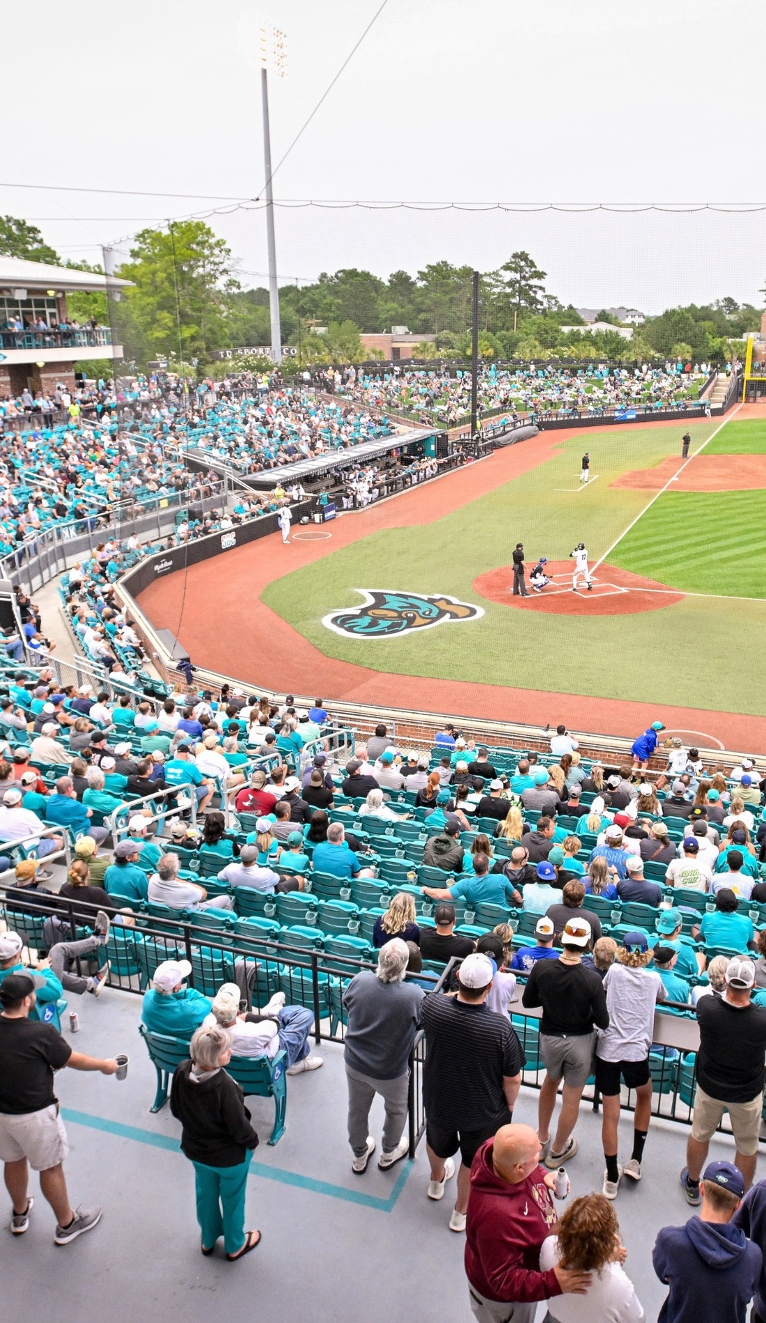 A Coastal Carolina Chanticleers Baseball live event