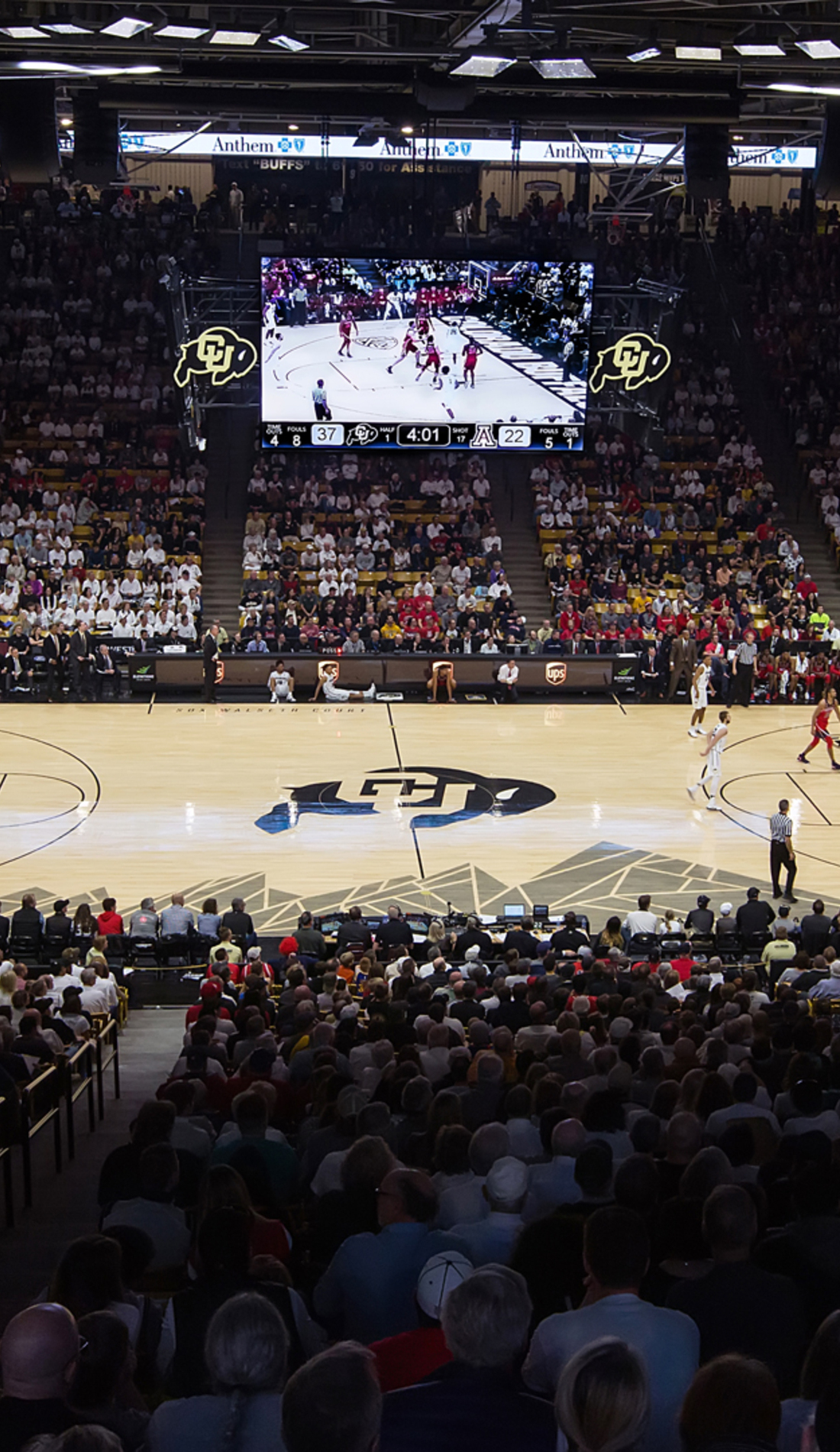 A Colorado Buffaloes Basketball live event
