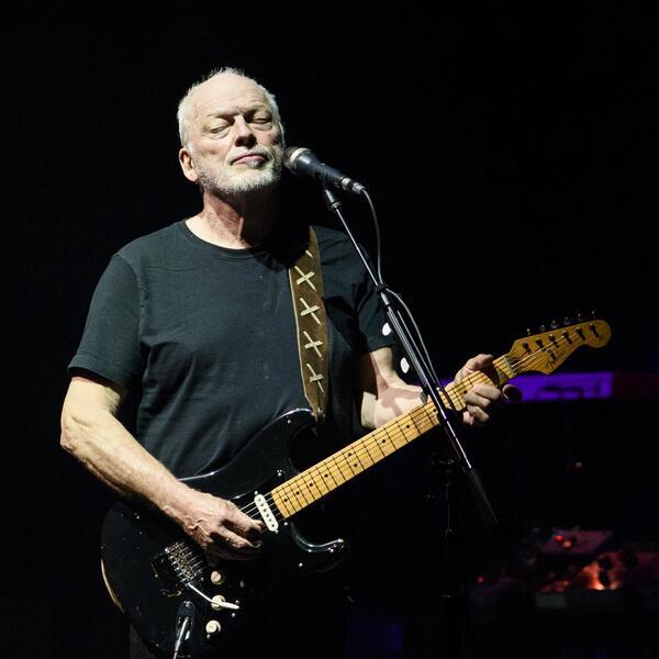 David Gilmour tickets in New York (Madison Square Garden) Nov 10, 2024 at 730pm SeatGeek