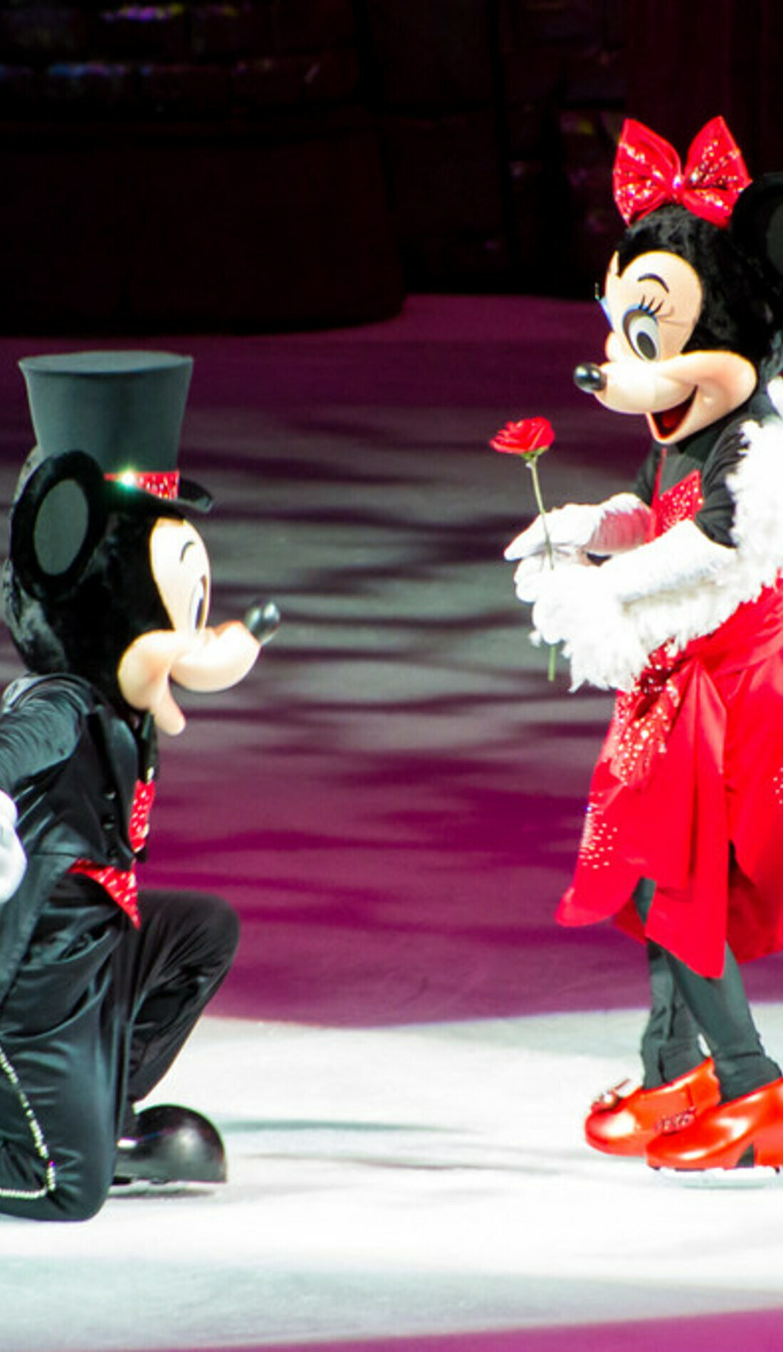 A Disney On Ice 100 Years of Magic live event