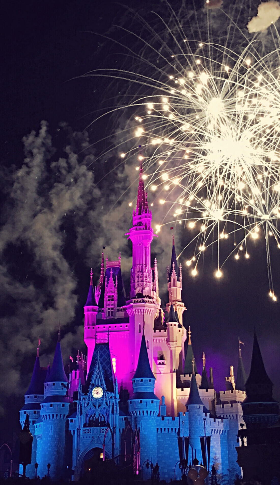 A Disney On Ice: Reach For The Stars live event