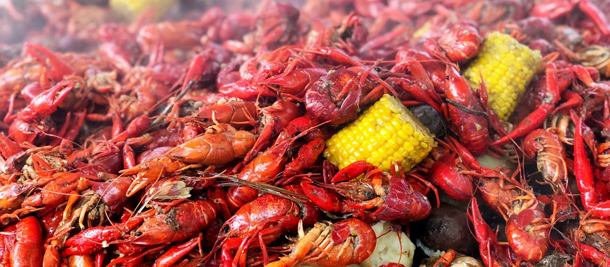 Astros Crawfish Boil: March 7, 2023 - The Crawfish Boxes