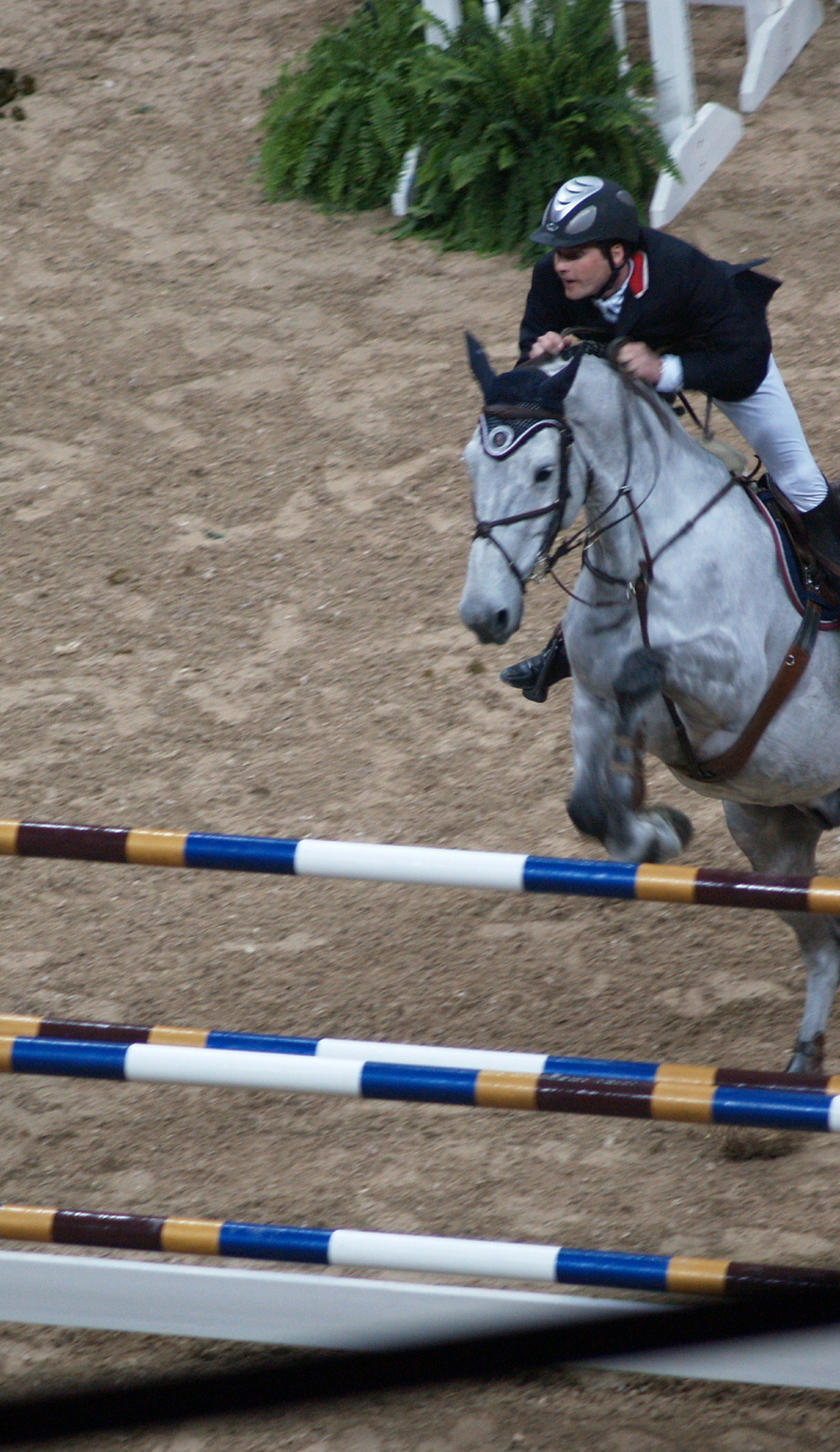 A FEI World Cup Finals live event