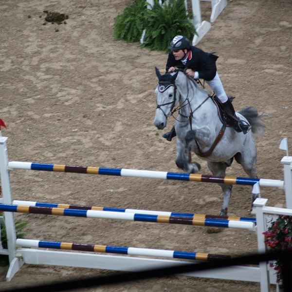 FEI World Cup Finals Tickets 20242025 FEI World Cup Finals Events