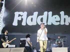 Fiddlehead