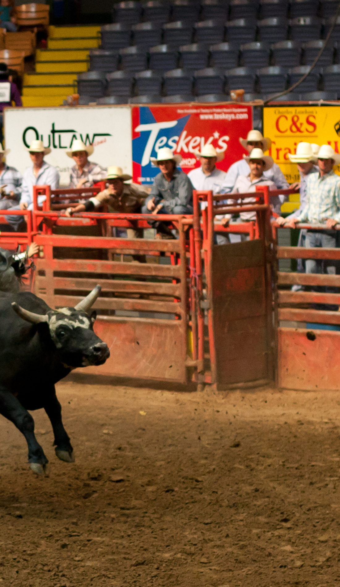 A Fort Worth Stock Show and Rodeo live event
