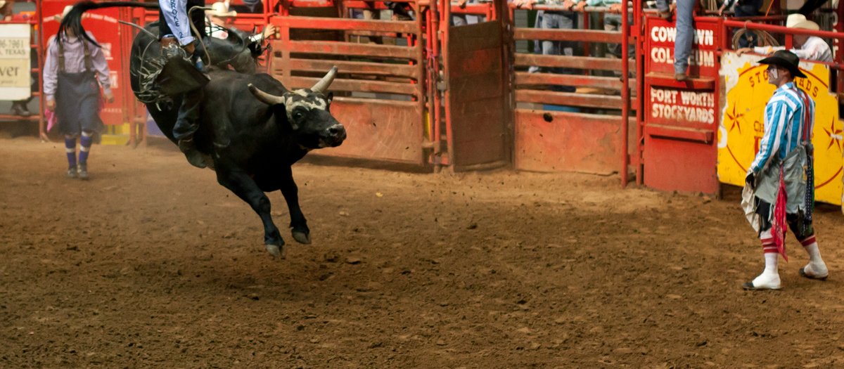 Fort Worth Stock Show and Rodeo Tickets, 20232024 Schedule & Locations