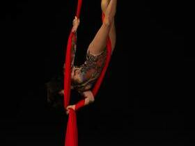 Cirque du Soleil Drawn to Life - Orlando