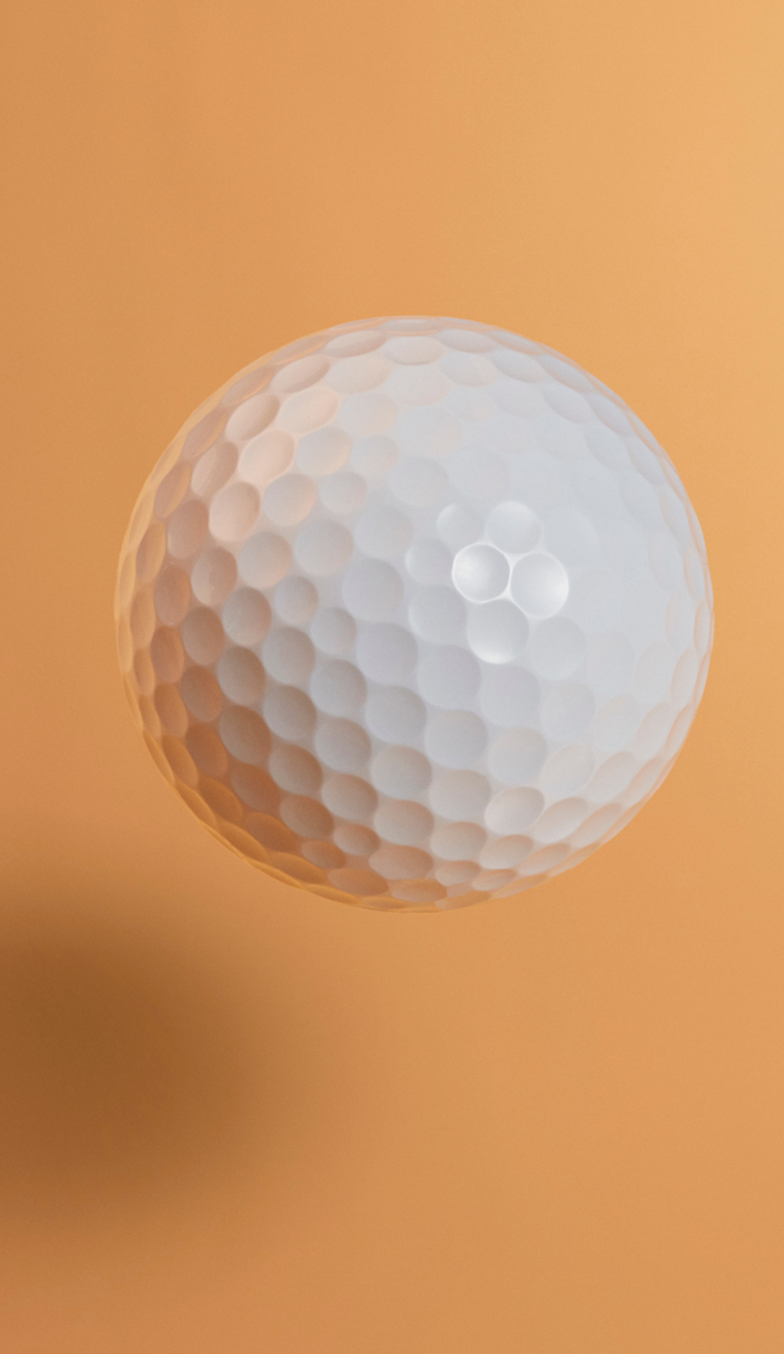 A ANA Inspiration live event