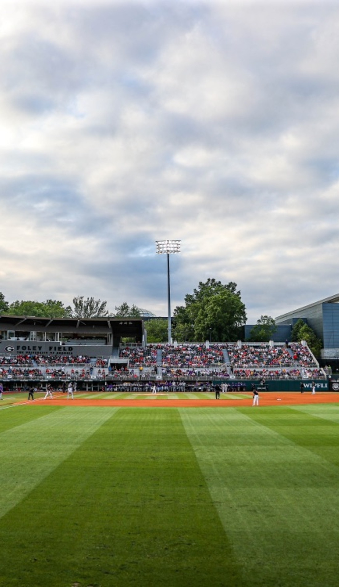 A Georgia Bulldogs Baseball live event