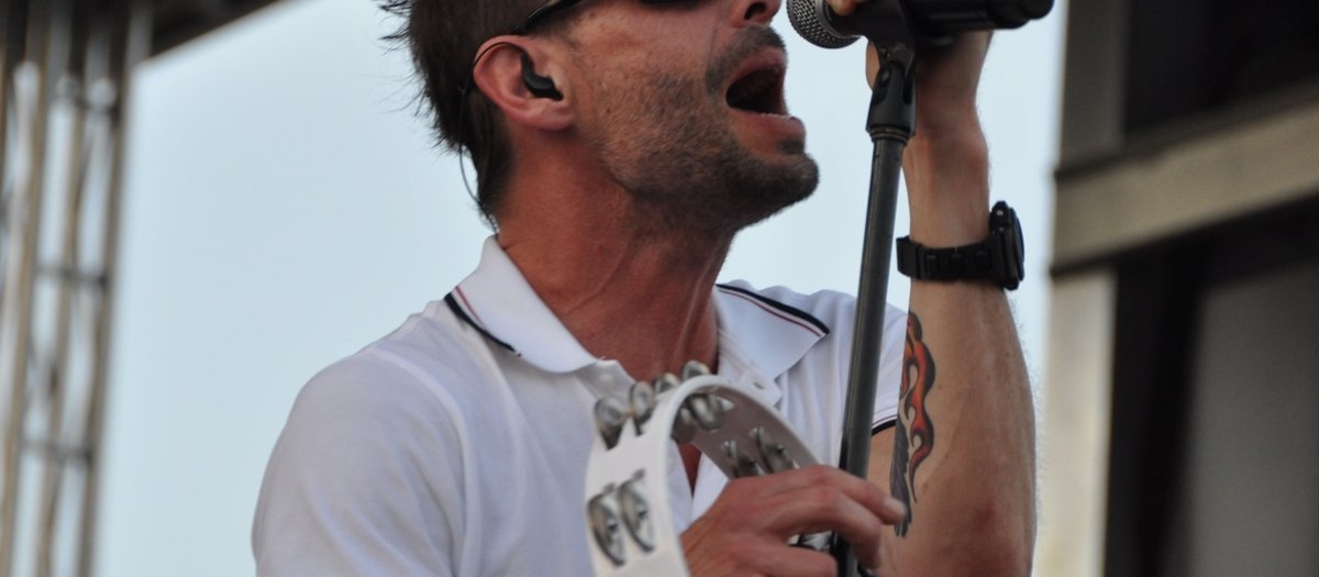 Gin Blossoms