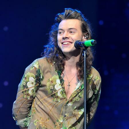 Harry Styles Tickets Love On Tour And Tour Dates Seatgeek