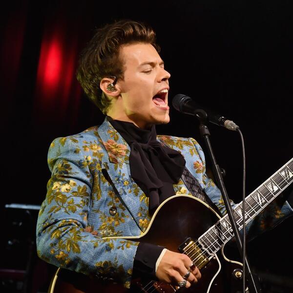 Harry Styles Tickets & Concert Tour Dates 2024 | SeatGeek