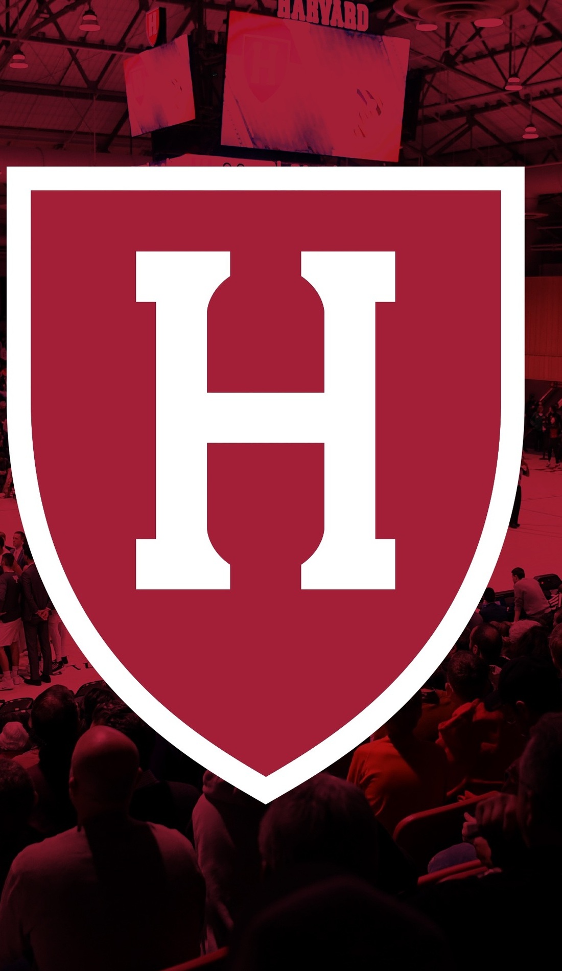A Harvard Crimson Basketball live event